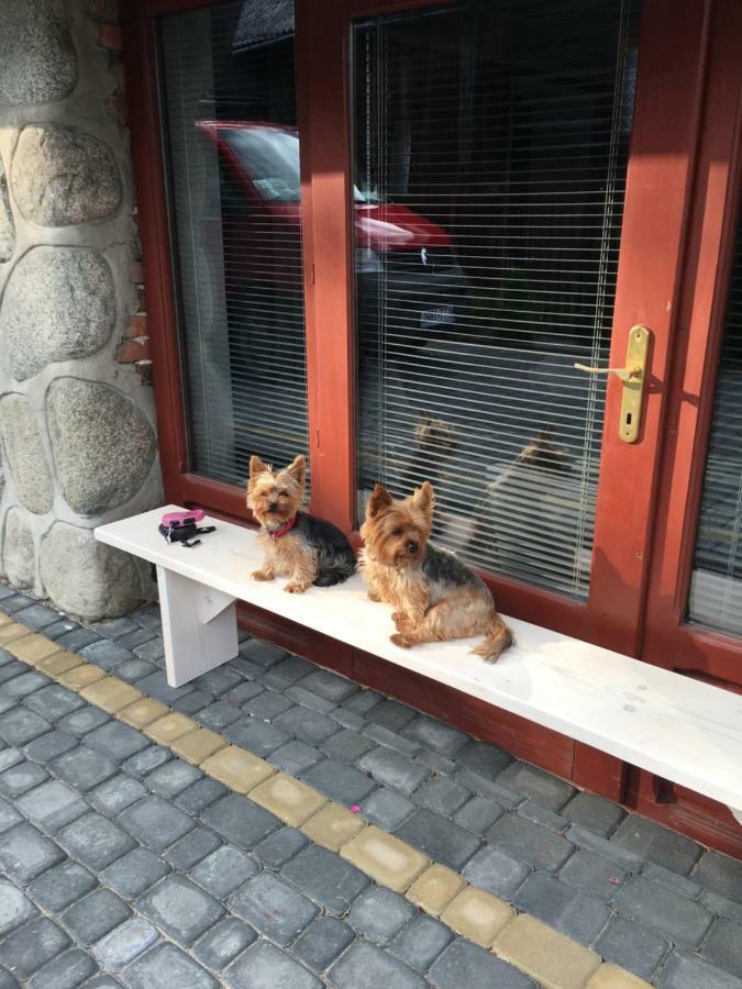 Apartamenty i pokoje u Staszelów Poronin Exterior foto
